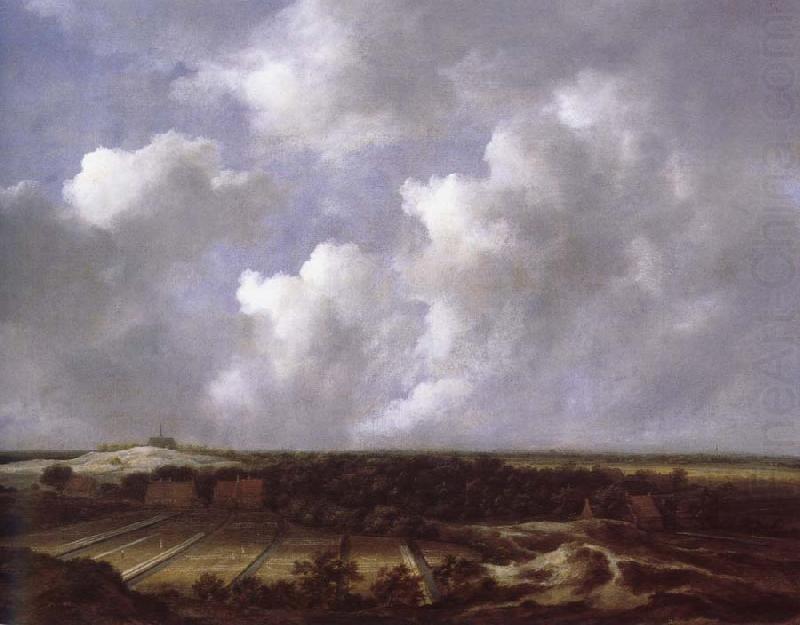 Jacob van Ruisdael View of the Dunes near Bl oemendaal with Bleaching Fields china oil painting image